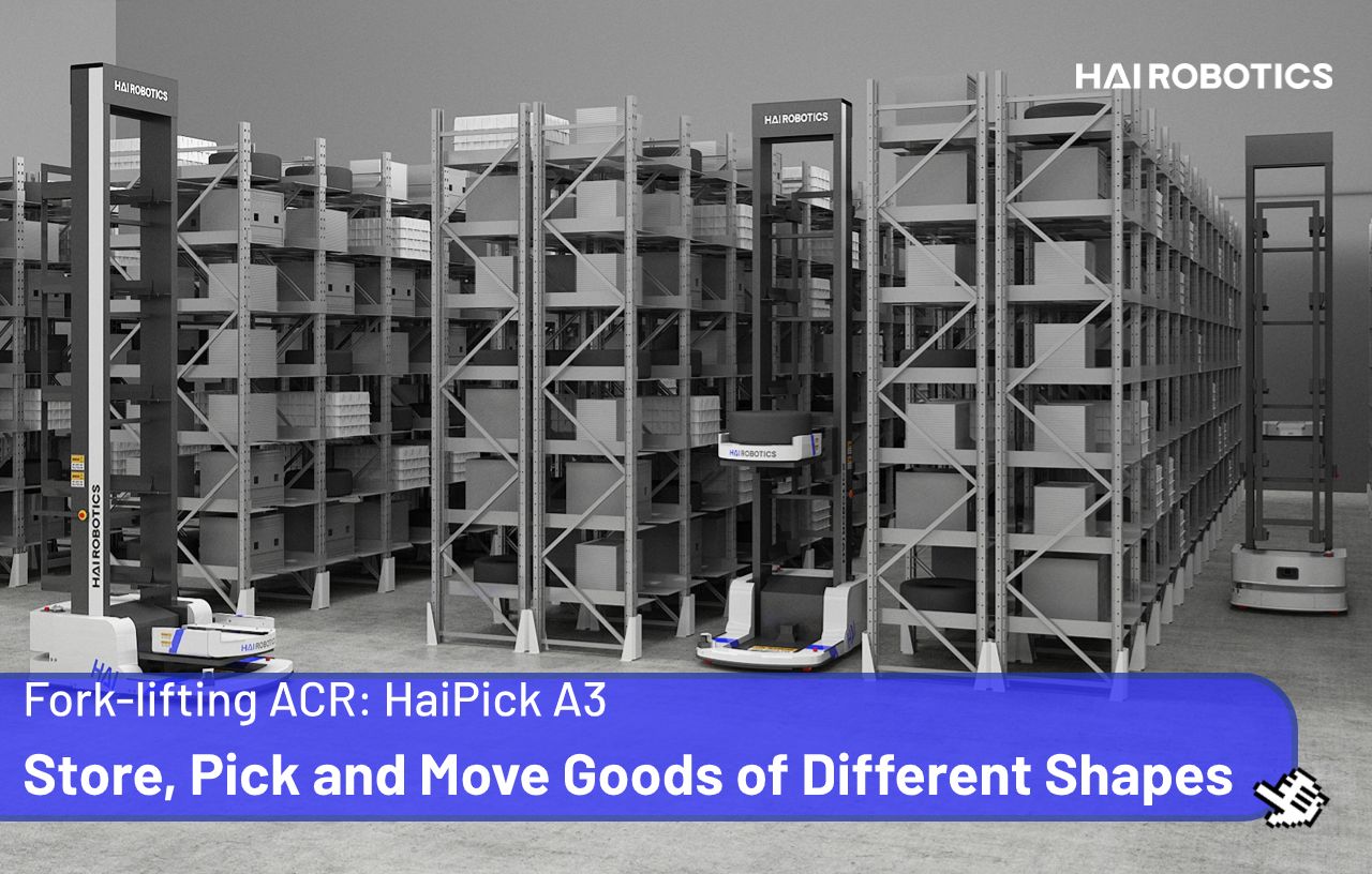 HaiPick A3: Store, Pick and Move Goods of Different Shapes