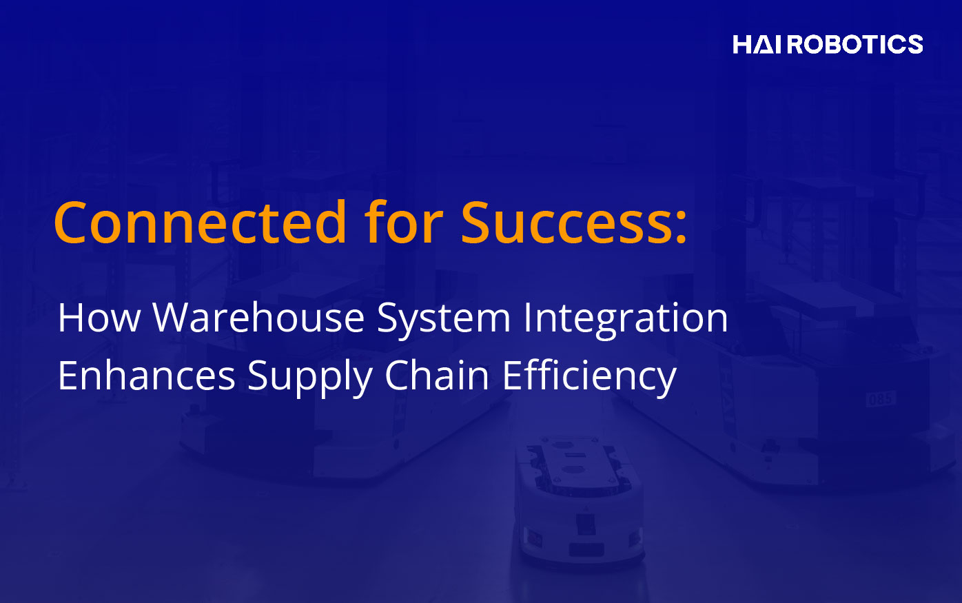 Connected for Success: How Warehouse System Integration Enhances Supply Chain Efficiency
