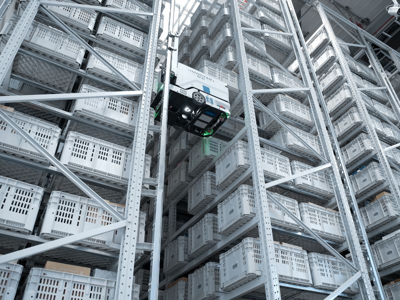 Built to Evolve with Fashion Cycles