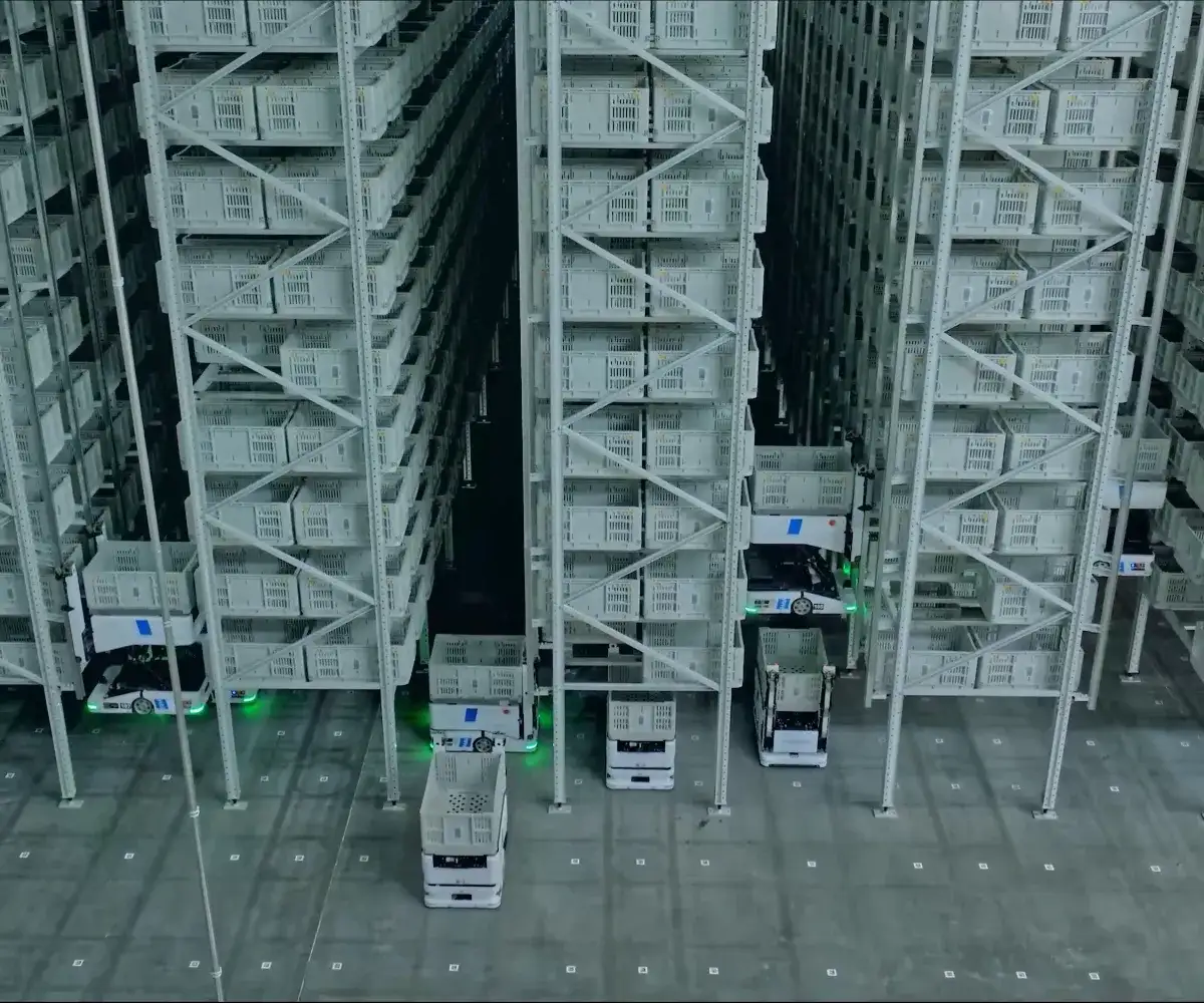 Bosideng case study video