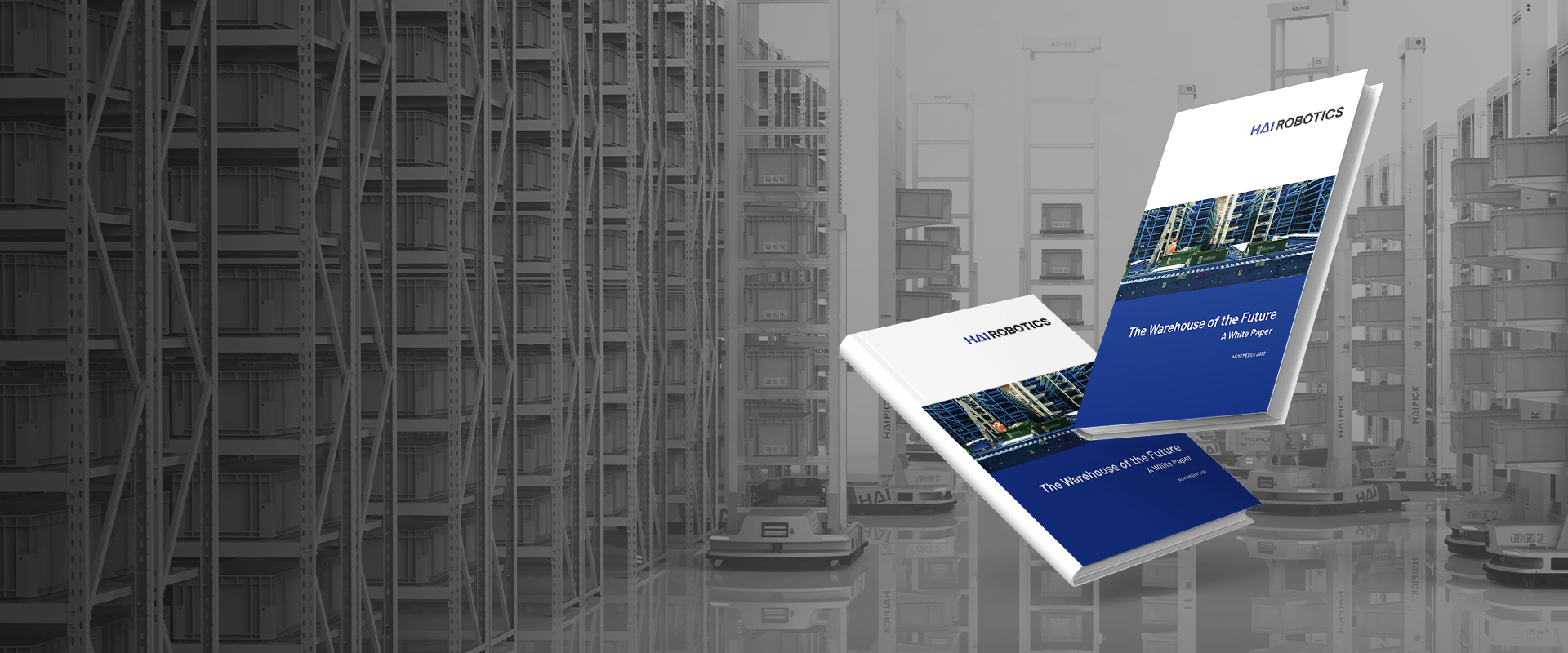 warehouse future whitepaper_pc